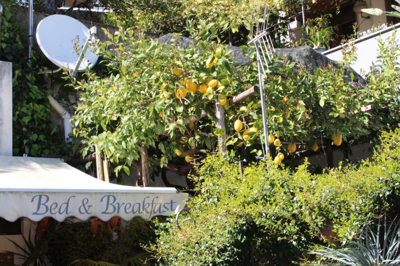 Bed & Breakfast Casa Anna Rita Vietri 外观 照片